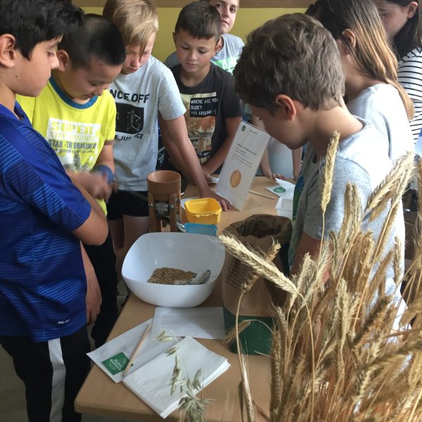 Sommer.Erlebnis.Bauernhof – Entdecken, wo das Essen herkommt