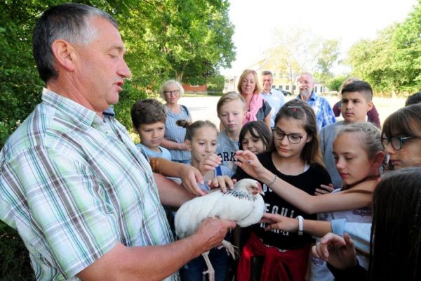 Sommer.Erlebnis.Bauernhof – Entdecken, wo das Essen herkommt