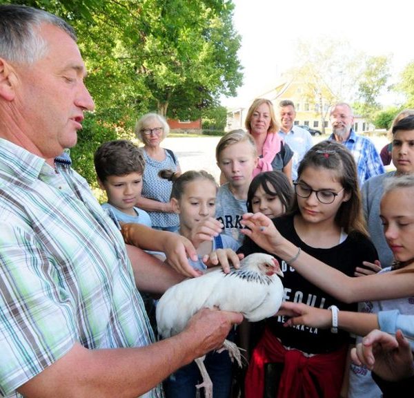 Sommer.Erlebnis.Bauernhof – Entdecken, wo das Essen herkommt