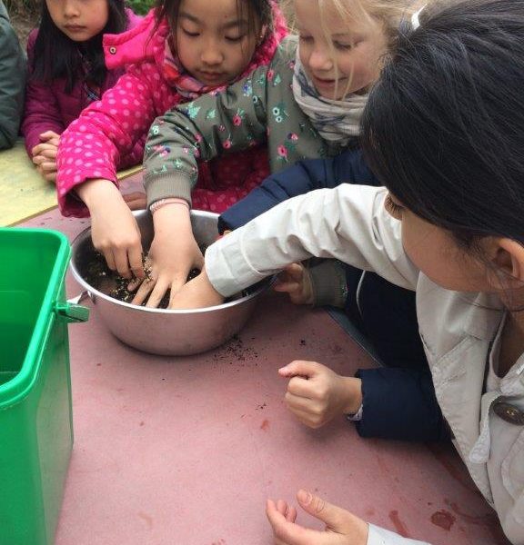 HumUs - Kinder beim einpflanzen von Pflanzen