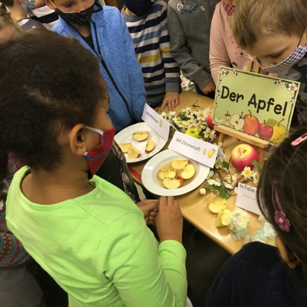 Der Apfel im Mittelpunkt der Schüler