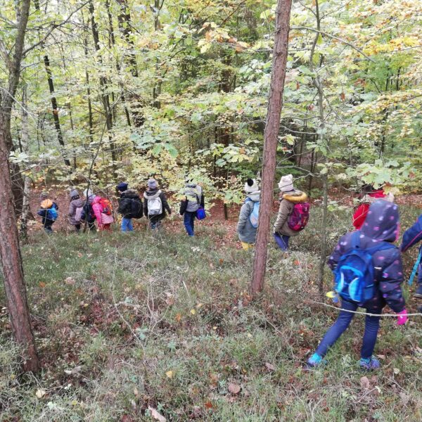 Schülergruppe durch den Wald