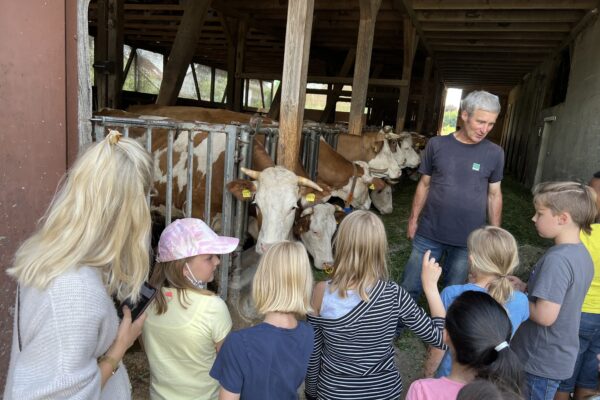 Bauer Keller im Kuhstall mit Schülern