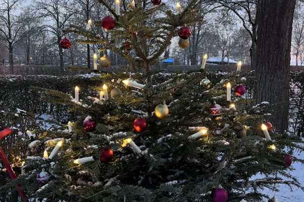 geschmückter Christbaum im Bollerwagen