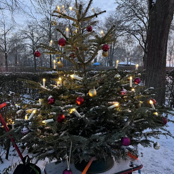 geschmückter Christbaum im Bollerwagen