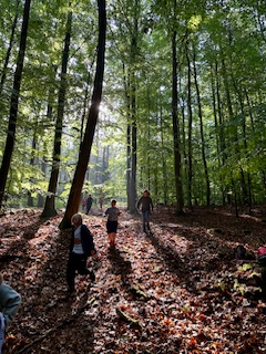 Kinder im Wald