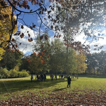Kinder im Hofgarten mit Bäumen und Blättern