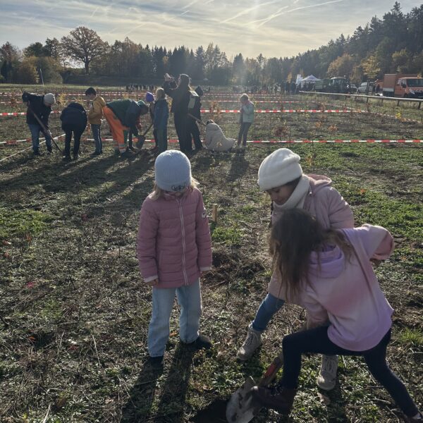 Kinder graben mit einer Schaufel ein Loch in die Erde