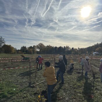 Kinder auf einer Wiese, die Bäume pflanzen