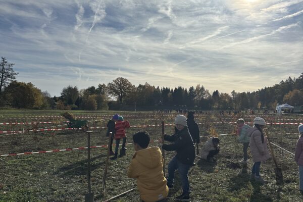 Kinder auf einer Wiese, die Bäume pflanzen