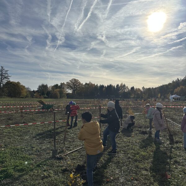 Kinder auf einer Wiese, die Bäume pflanzen