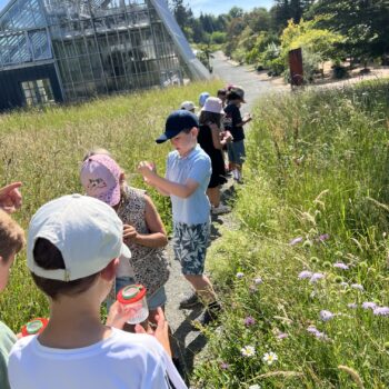 Kinder stehen in der Wiese und beobachten Insekten