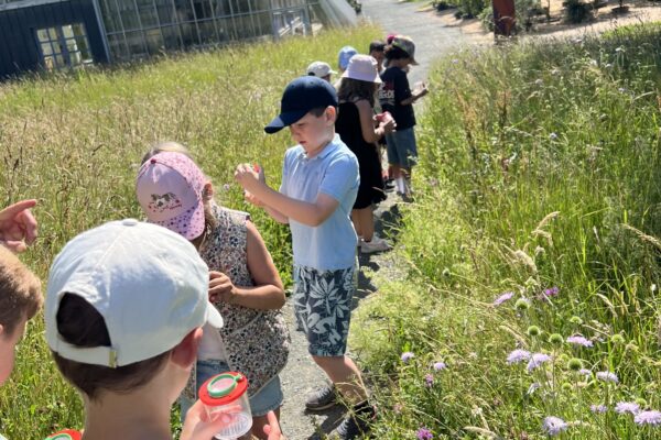 Kinder stehen in der Wiese und beobachten Insekten